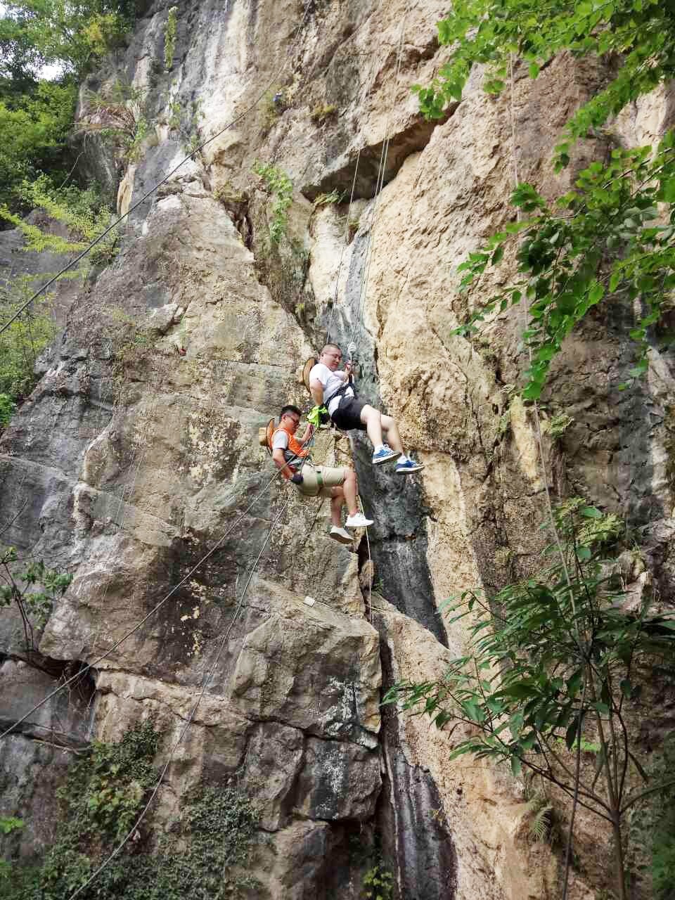 1593423333551151.jpg 下載6.jpg